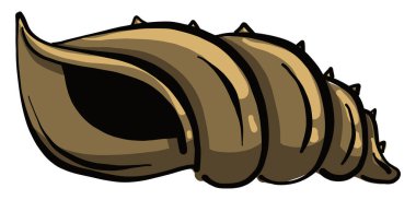 Büyük deniz kabuğu, illüstrasyon, beyaz arkaplanda vektör.