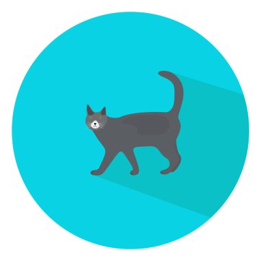 Gri kedi, illüstrasyon, beyaz arkaplanda vektör.
