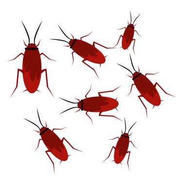 Beyaz arka planda küçük hamamböcekleri, illüstrasyon, vektör.