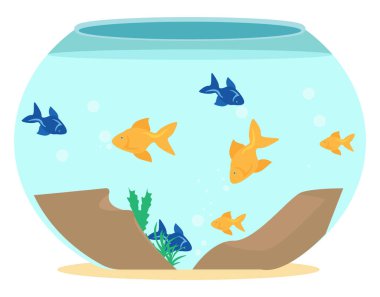 Akvaryum, illüstrasyon, beyaz arkaplandaki vektör.