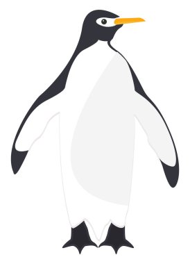 Büyük penguen, illüstrasyon, beyaz arka planda vektör.