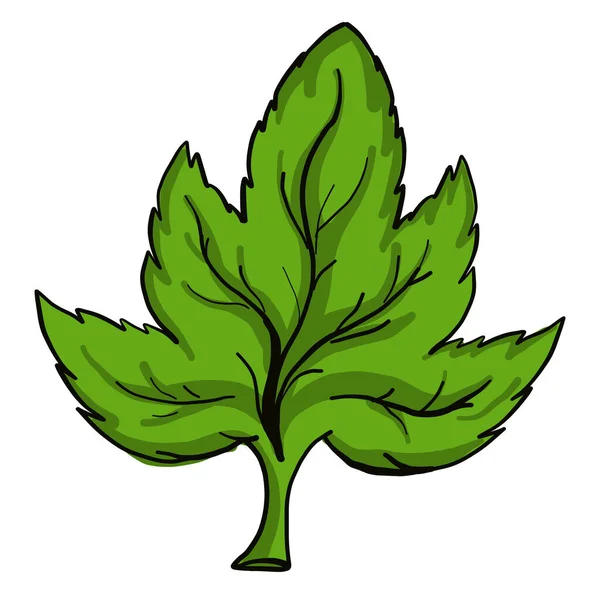 Groot Groen Blad Illustratie Vector Een Witte Achtergrond — Stockvector