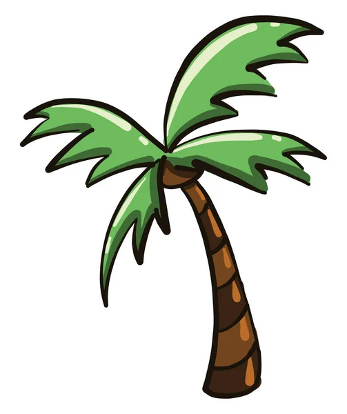 Tropische Palmboom Illustratie Vector Een Witte Achtergrond — Stockvector