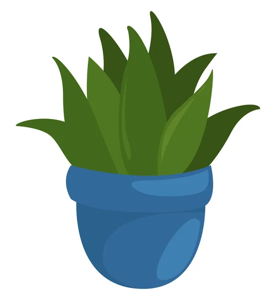 Planta Vaso Azul Ilustração Vetor Sobre Fundo Branco — Vetor de Stock