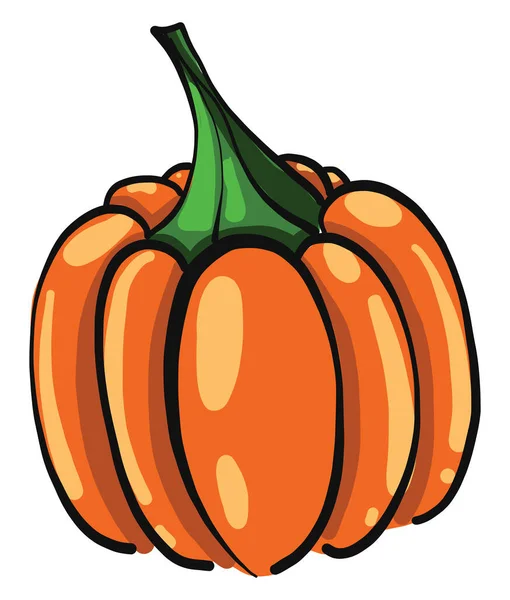Fresh Pumpkin Illustration Vector White Background — Stock Vector