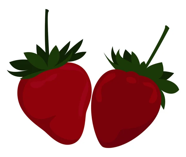 Deux Fraises Rouges Illustration Vecteur Sur Fond Blanc — Image vectorielle