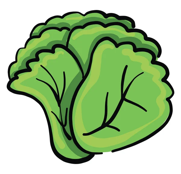 Fresh Green Salad Illustration Vector White Background — Stock Vector