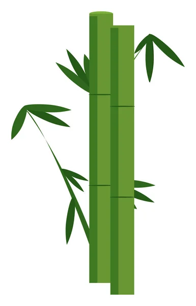 Lång Bambu Illustration Vektor Vit Bakgrund — Stock vektor