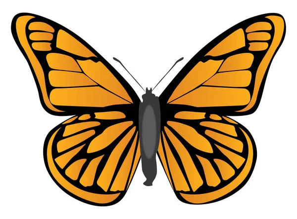 Farfalla Arancione Illustrazione Vettore Sfondo Bianco — Vettoriale Stock