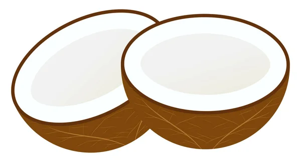 Ilustracja Wektorowa Drobno Krojonego Kokosa — Wektor stockowy