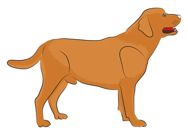 Brown Dog Illustration Vector White Background — Stock Vector