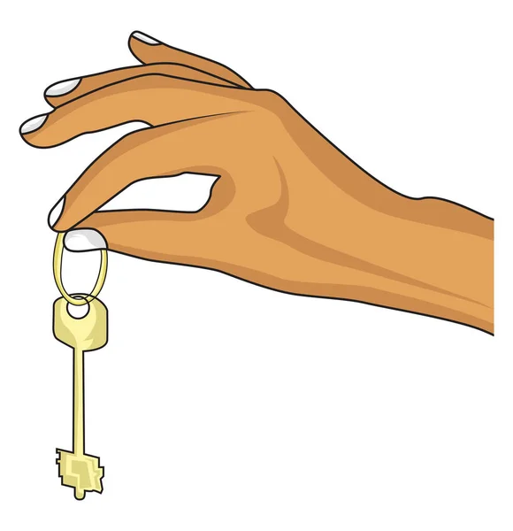 Hand Holding Key Illustration Vector White Background — Stock Vector
