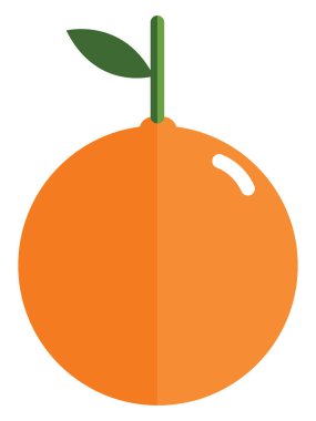 Meyve, illüstrasyon, beyaz arkaplan üzerindeki vektör.