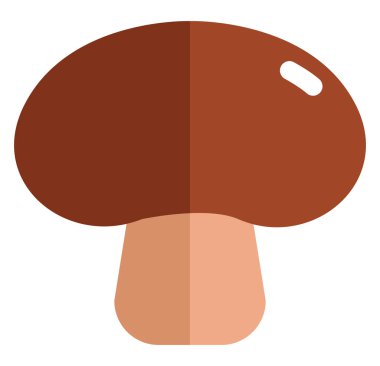 Kahverengi mantar, illüstrasyon, beyaz arkaplanda vektör.