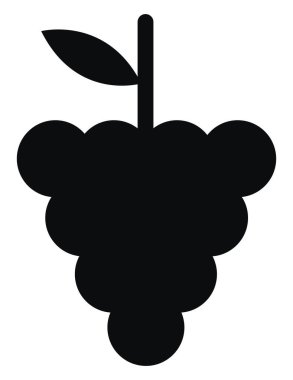 Siyah üzüm, illüstrasyon, beyaz arkaplanda vektör.