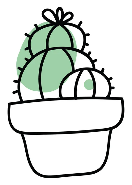 Drie Ronde Cactussen Een Pot Illustratie Vector Witte Achtergrond — Stockvector
