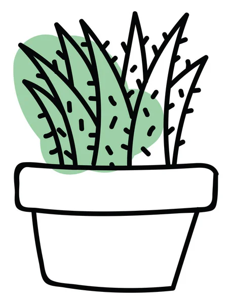 Hét Kaktusz Egy Edényben Illusztráció Vektor Fehér Alapon — Stock Vector