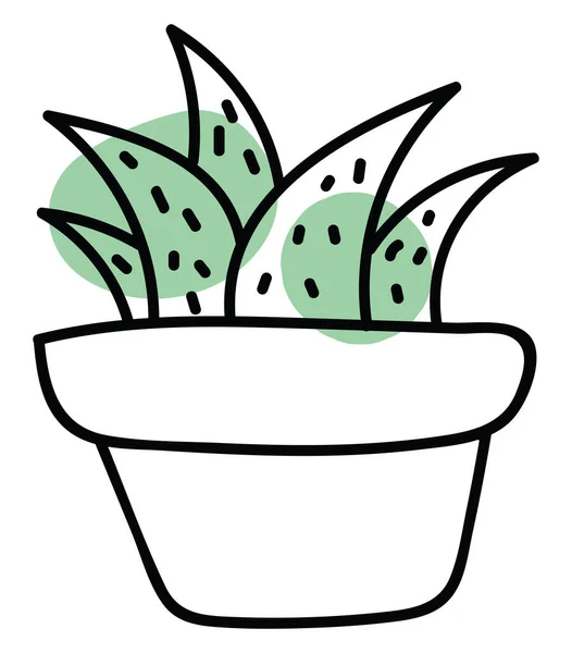 Fem Kaktusar Kruka Illustration Vektor Vit Bakgrund — Stock vektor