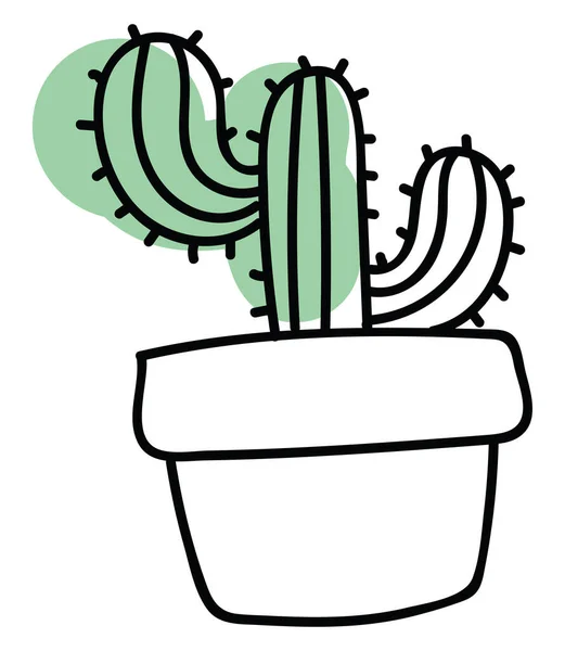 Desert Cactus Illustration Vektor Vit Bakgrund — Stock vektor