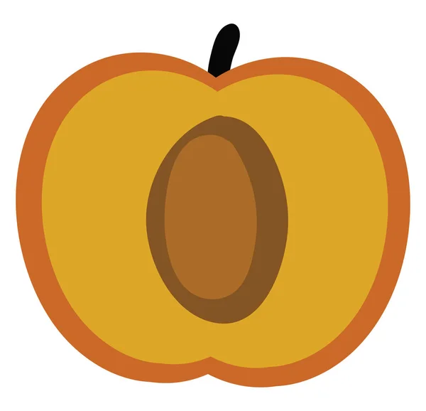 オレンジアプリコット イラスト 白い背景のベクトル — ストックベクタ