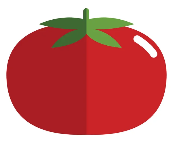 赤いトマト イラスト 白い背景のベクトル — ストックベクタ