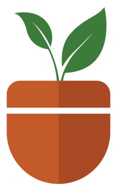 Indoor plant in a pot, illustration, vector on white background.