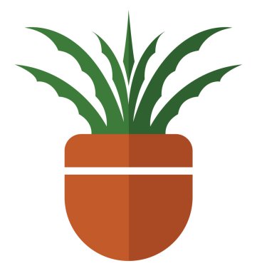 Decorative Aloe Vera plant in a pot, illustration, vector on white background.