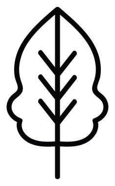 Simple white leaf outlined with black color, illustration, vector on white background.