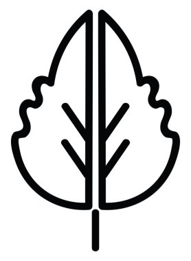 Leaf in half, illustration, vector on white background.