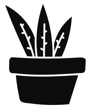 Three spiked cactuses in a black pot, illustration, vector on white background.