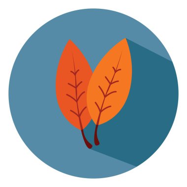 Sonbahar yaprakları, illüstrasyon, beyaz arkaplan üzerindeki vektör.