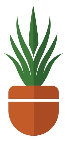 Aloe Vera Orange Pot Illustration Vector White Background — Wektor stockowy
