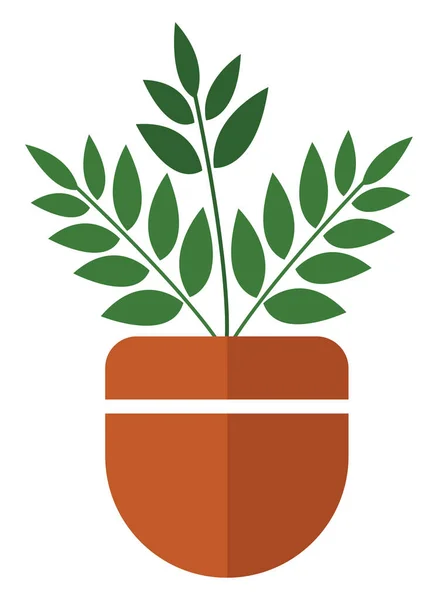 Растение Маленькими Листьями Горшке Иллюстрация Вектор Белом Фоне — стоковый вектор