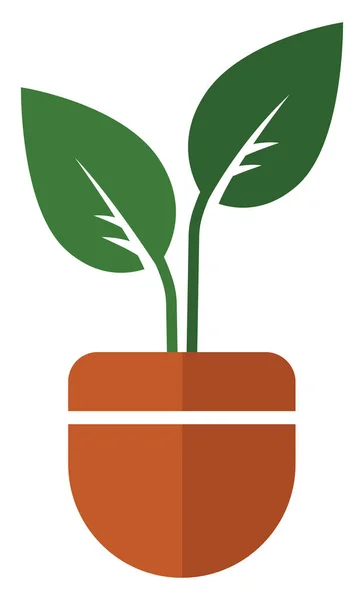 Ficus Plant Pot Illustration Vector White Background — Stok Vektör