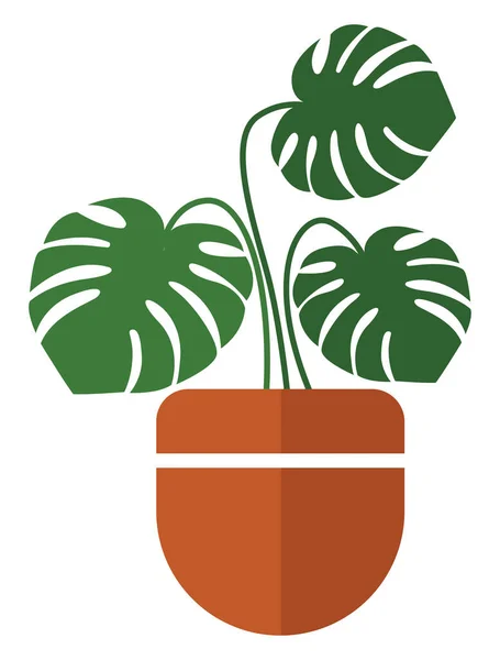 Adam Plant Pot Illustration Vector White Background — Stok Vektör
