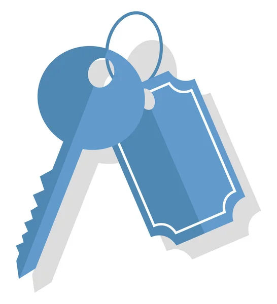 Key Keychain Illustration Vector White Background — Stock Vector