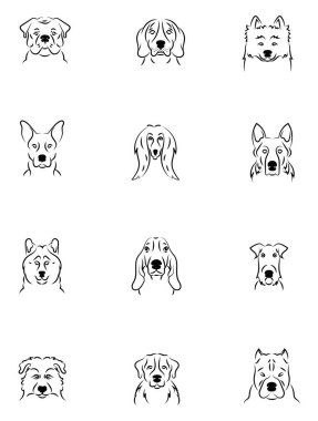 Köpek türleri, illüstrasyon, beyaz arkaplan üzerindeki vektör.