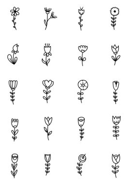 Botanik çiçekleri, illüstrasyon, beyaz arkaplan üzerindeki vektör.