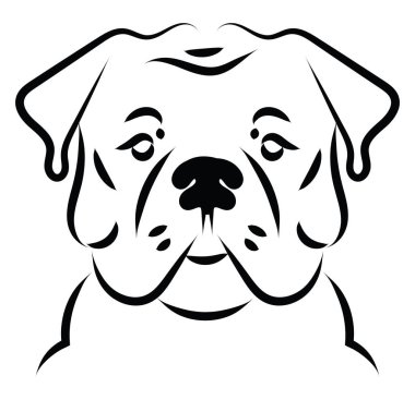 Tatlı buldog, illüstrasyon, beyaz arka planda vektör..