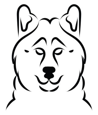 Şirin Sibirya kurdu, illüstrasyon, beyaz arka planda vektör..