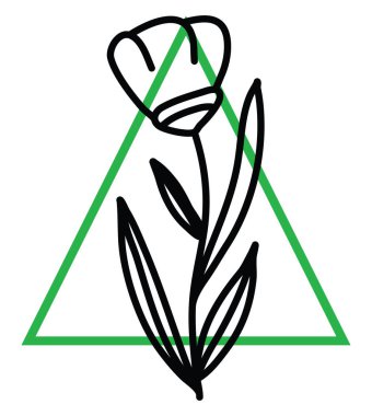 Beyaz arkaplanda bir lale, illüstrasyon, vektör