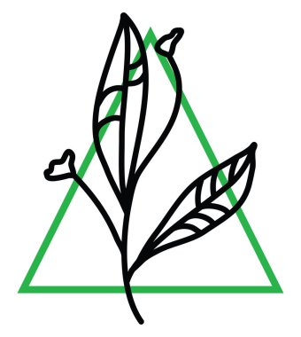 Beyaz arka planda iki büyük yapraklı iki minimalist çiçek, illüstrasyon, vektör