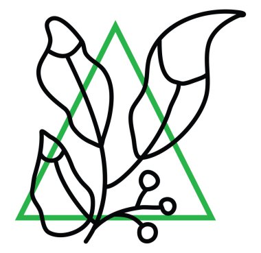 Büyük yapraklı bitki, illüstrasyon, beyaz arkaplanda vektör