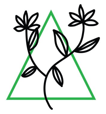 Beş yapraklı iki çiçek, illüstrasyon, beyaz arkaplanda vektör.