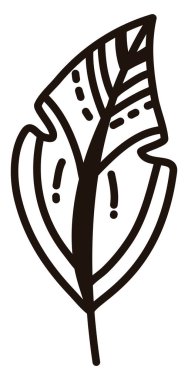 Beyaz arkaplandaki muhteşem tüy, illüstrasyon, vektör