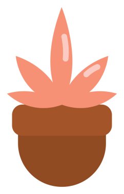 Bir saksıda ev bitkisi, illüstrasyon, beyaz arkaplan üzerinde vektör