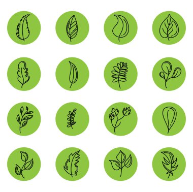 Beyaz arkaplanda yeşil dekoratif yapraklar, illüstrasyon, vektör