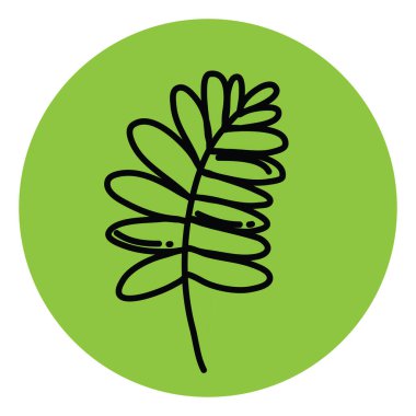 Dekoratif yeşil yaprak, illüstrasyon, beyaz arkaplan üzerindeki vektör