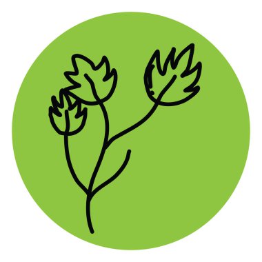 Akçaağaç yaprakları, illüstrasyon, beyaz arkaplan üzerindeki vektör