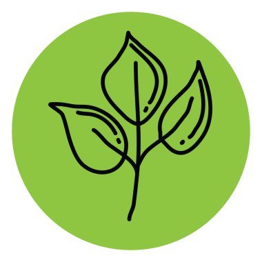 Beyaz arka planda üç yapraklı yeşil bahçe bitkisi, illüstrasyon, vektör